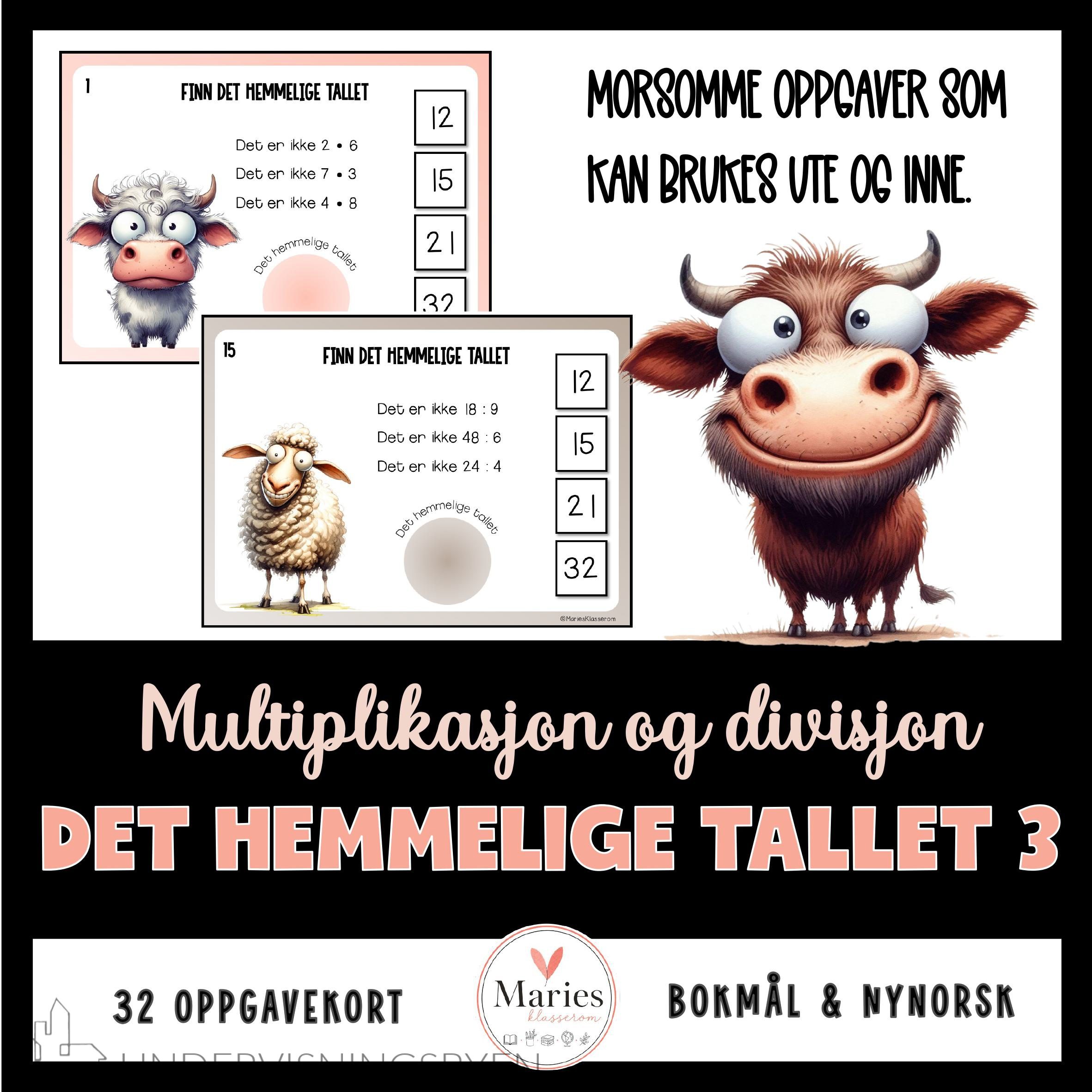 DET HEMMELIGE TALLET 3