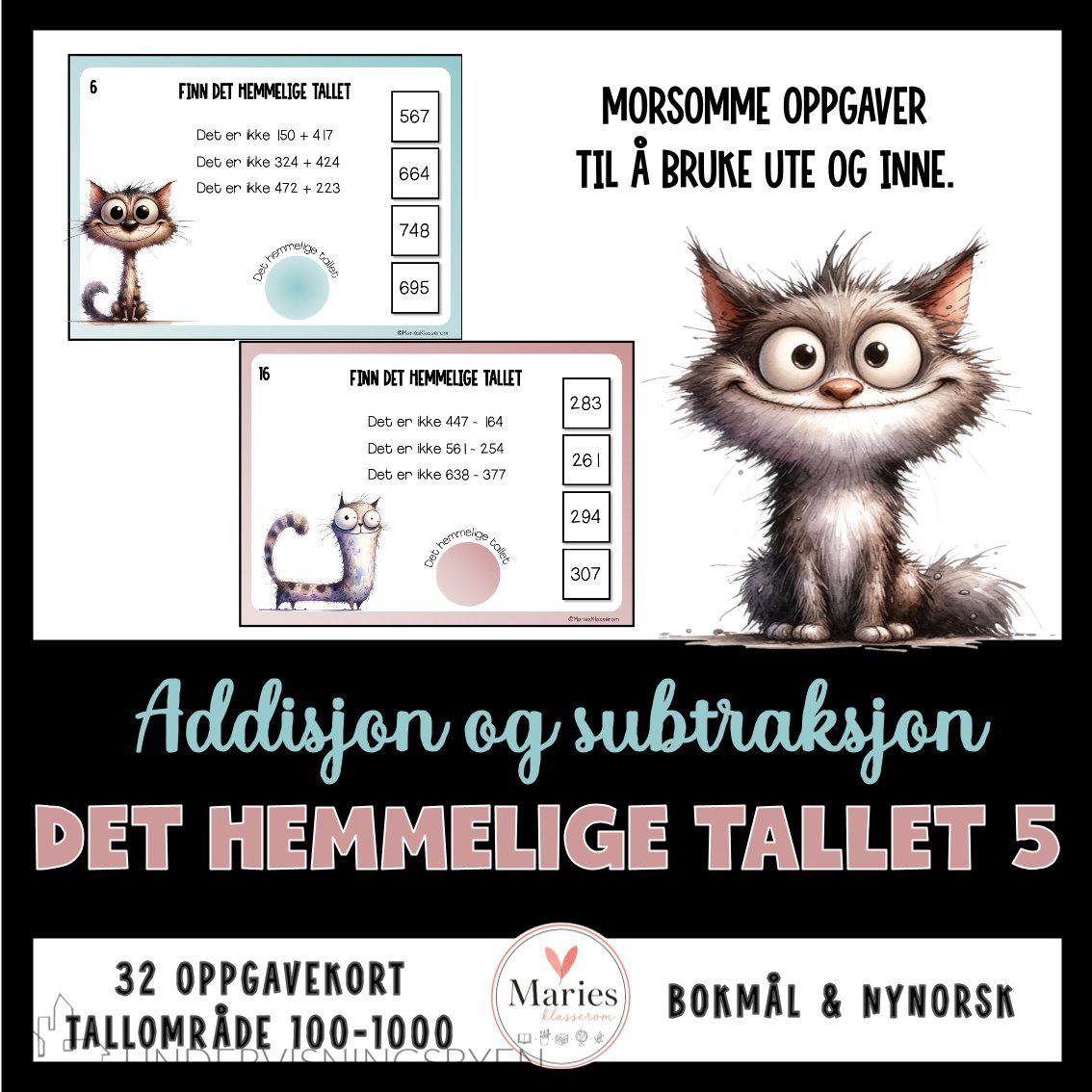 DET HEMMELIGE TALLET 5