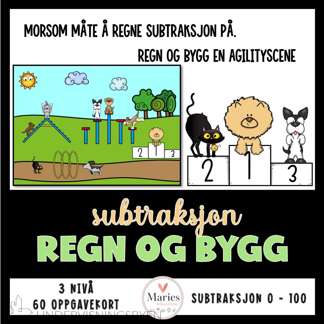 REGN OG BYGG agility